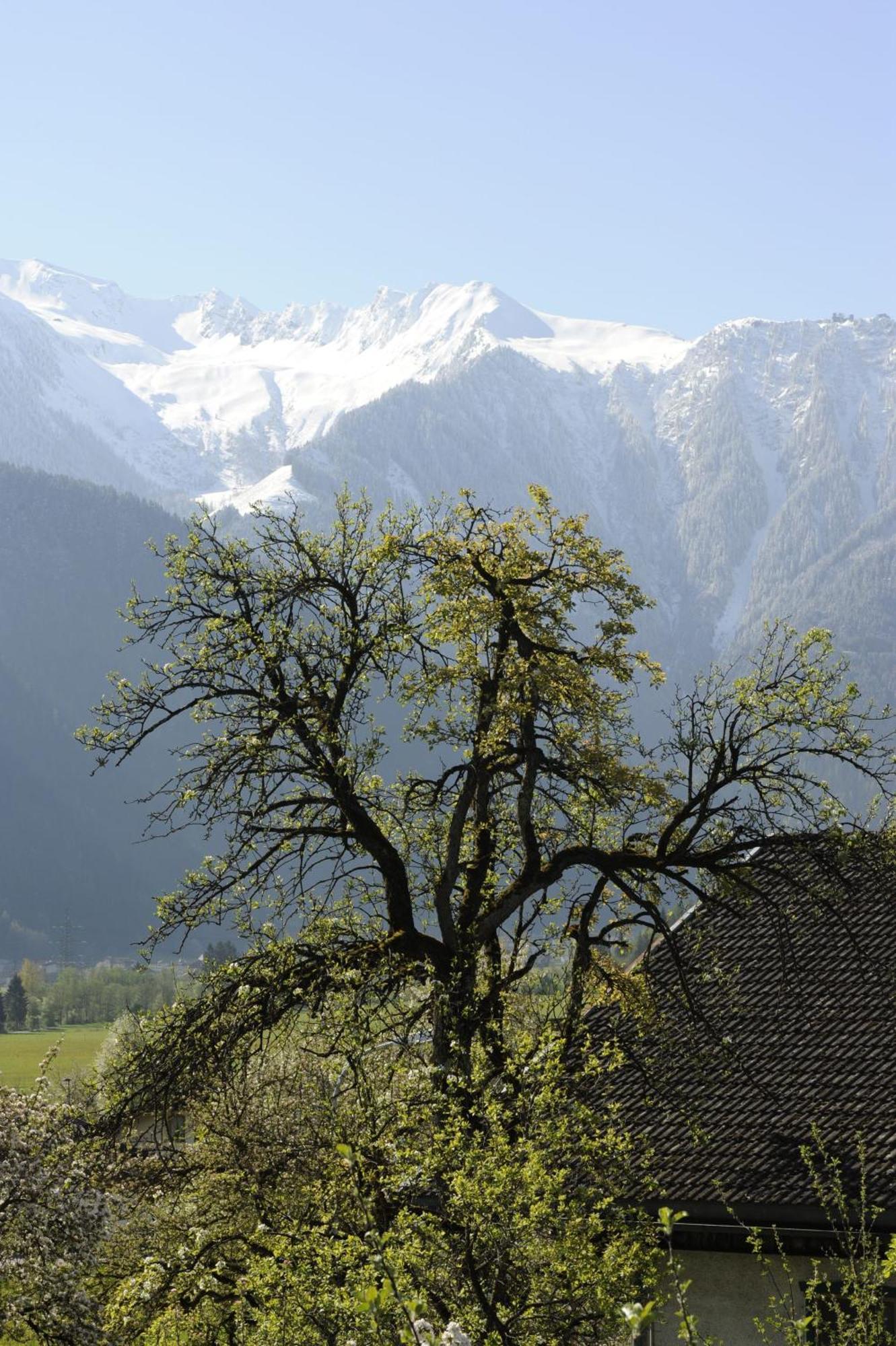 Oberstockachhof Apartment Schwendau Luaran gambar